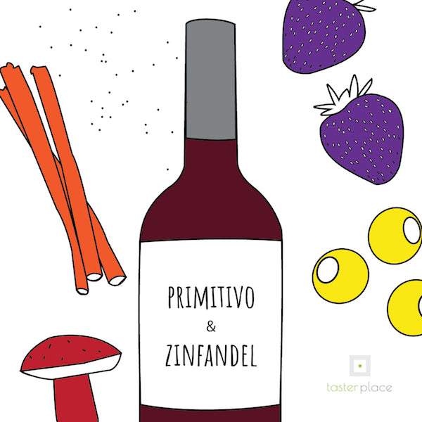 Primitivo di Manduria o Zinfandel? Scopri gli aromi.