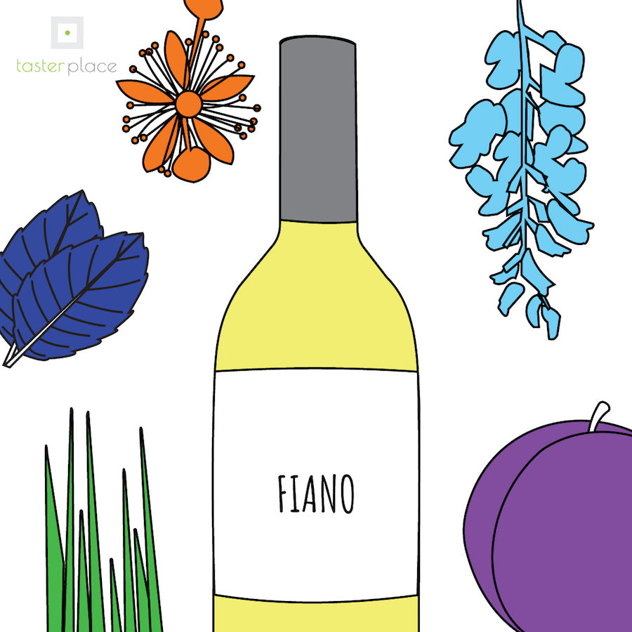 Il Fiano, l'antico vitigno di grande finezza espressiva.