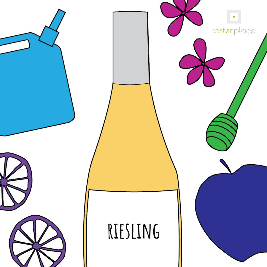 Il bouquet del Riesling, il vino raffinato dal fascino intrigante.