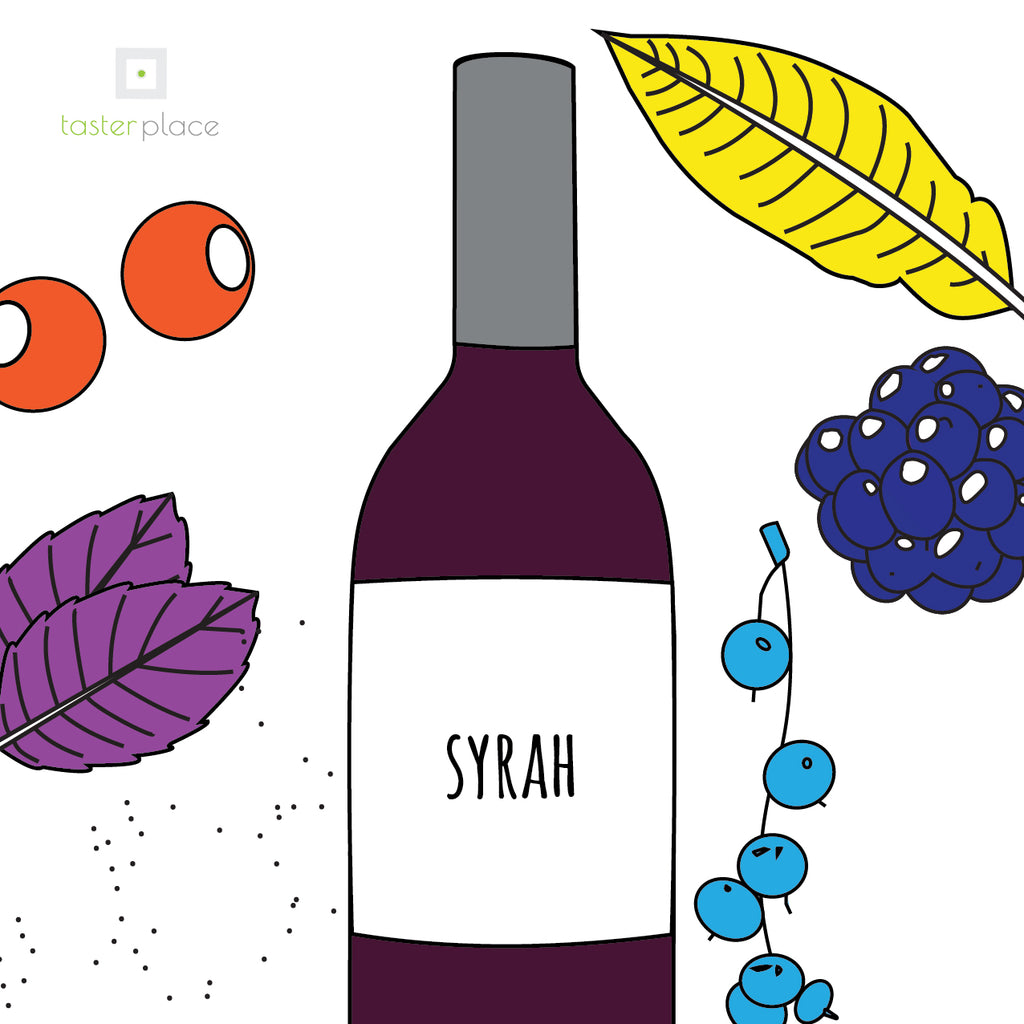 Il Syrah, tra pepe nero e mirtilli.