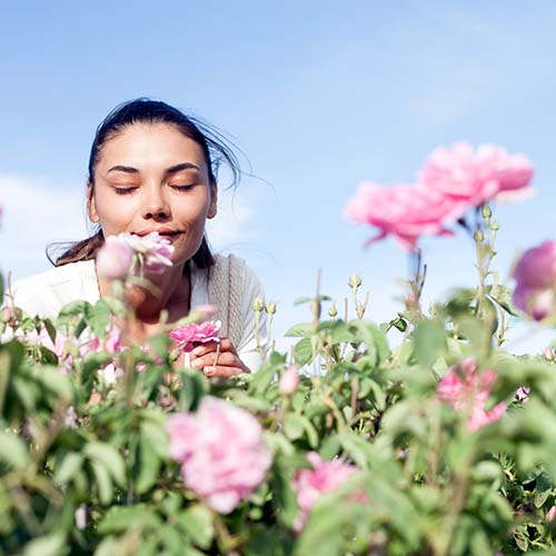 6 modi per allenare l’olfatto.