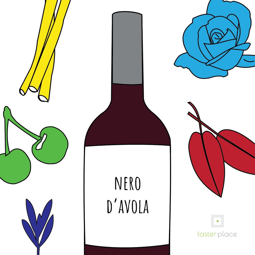Il Nero D’Avola, il principe dei vitigni rossi di Sicilia.
