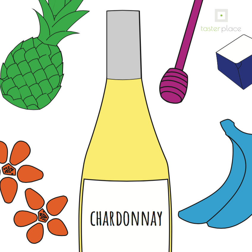 I profumi del vitigno bianco più coltivato al mondo: lo Chardonnay