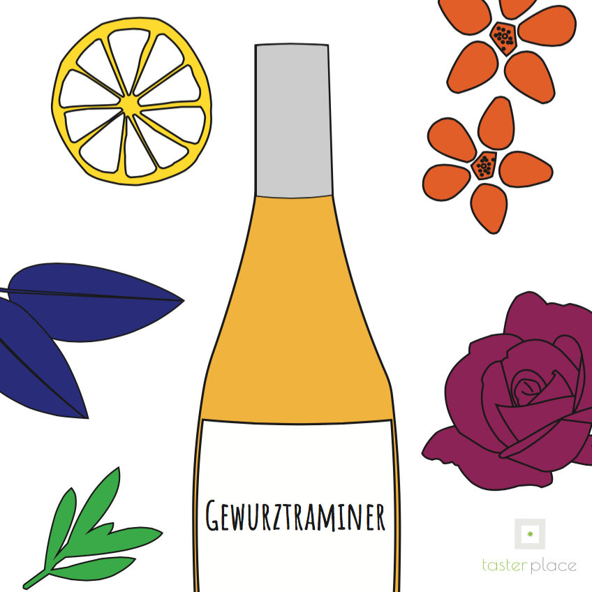 Il profumato corredo aromatico del Gewurztraminer