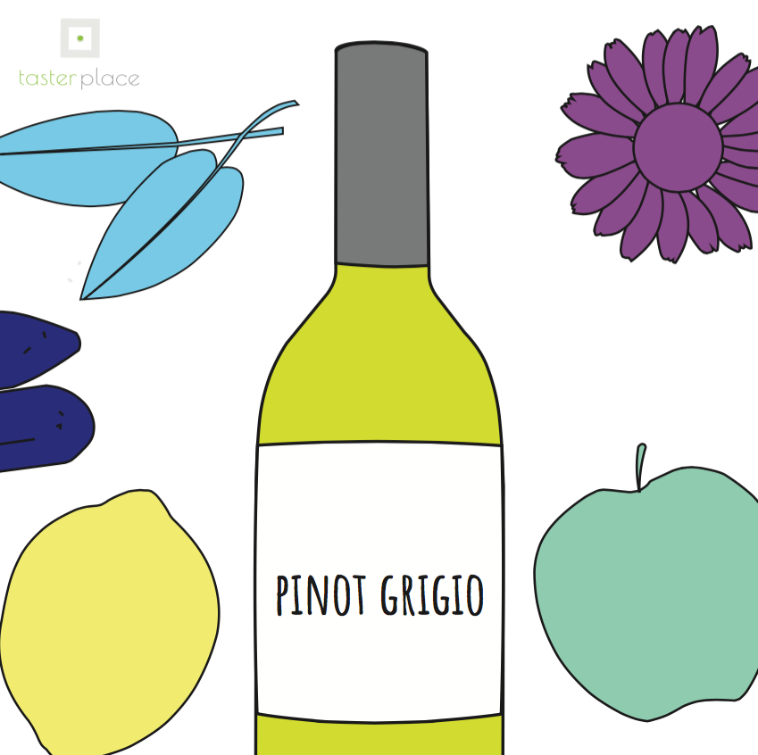 Le fresche note aromatiche del Pinot Grigio