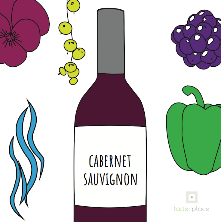 Gli Aromi del Cabernet Sauvignon: il vitigno rosso più coltivato