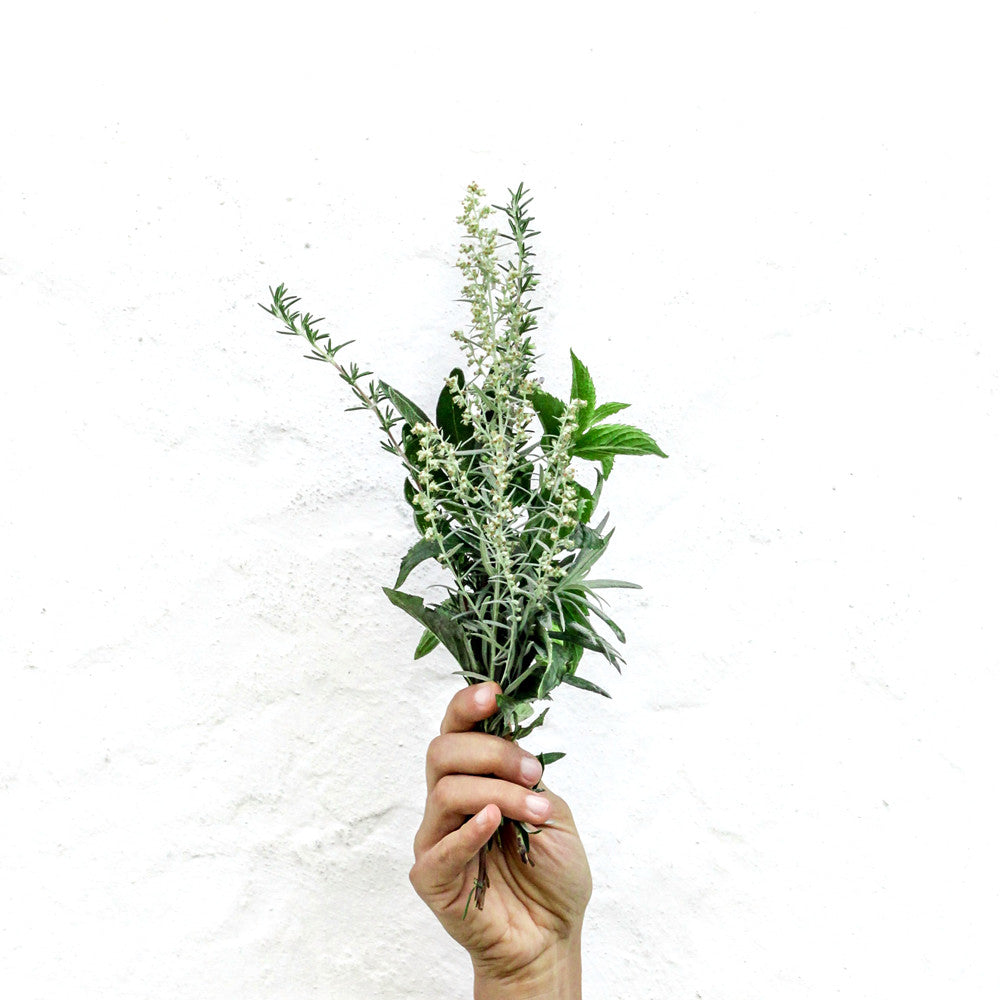 La magia delle erbe aromatiche. – TasterPlace