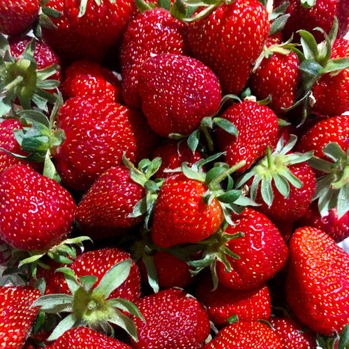 L'Aroma di Fragola – TasterPlace