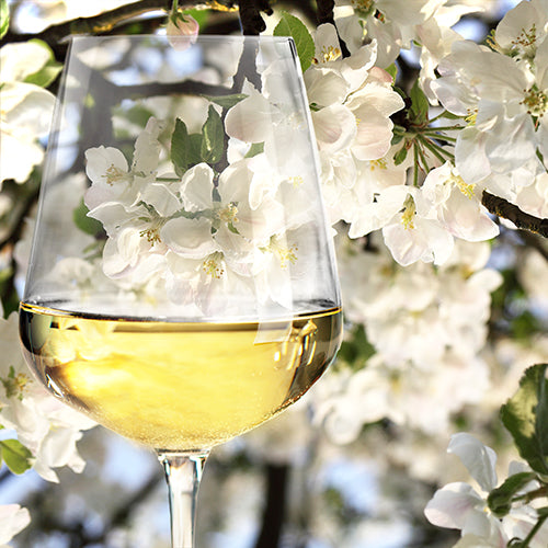 Il profumo dei fiori nei vini bianchi